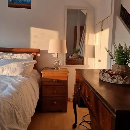 Spacious Family House In York *